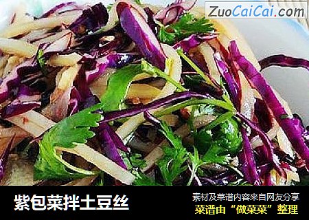 紫包菜拌土豆丝