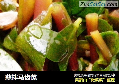 蒜拌马齿苋