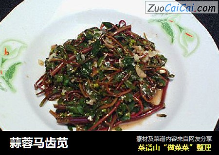 蒜蓉马齿苋