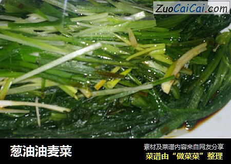 葱油油麦菜