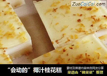 “会动的”椰汁桂花糕