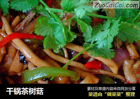 干锅茶树菇