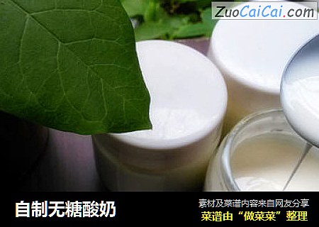自制无糖酸奶