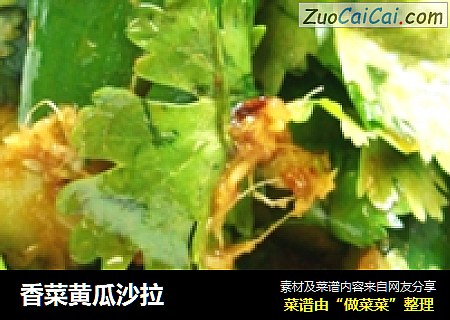 香菜黄瓜沙拉