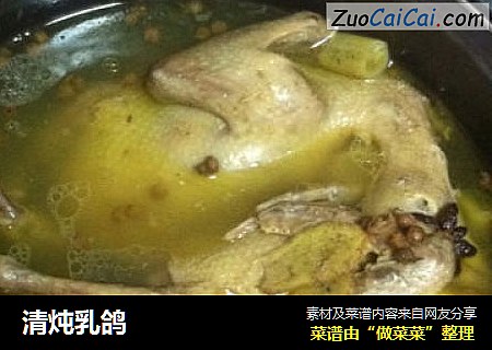 清炖乳鸽