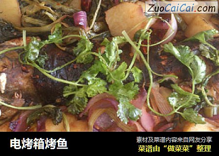 电烤箱烤鱼