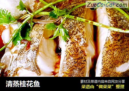 清蒸桂花鱼