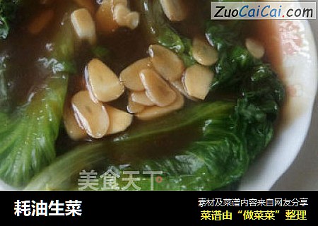 耗油生菜