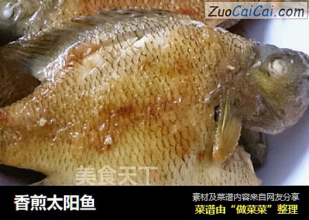 香煎太阳鱼