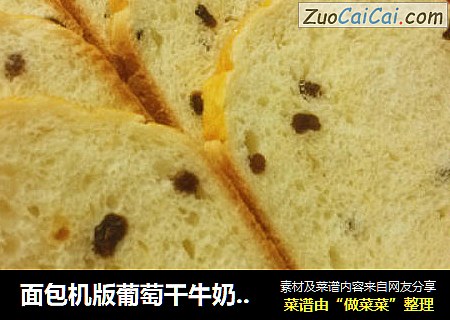 面包机版葡萄干牛奶吐司（中种法）