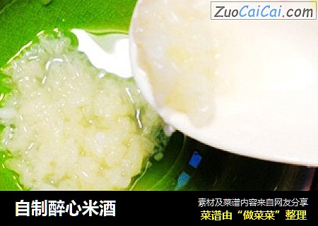 自制醉心米酒