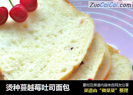 烫种蔓越莓吐司面包