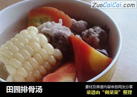 田园排骨汤
