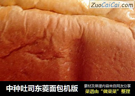 中种吐司东菱面包机版