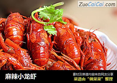 麻辣小龙虾