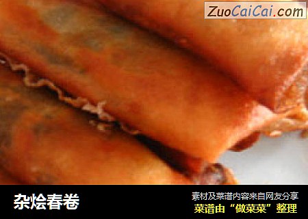 杂烩春卷