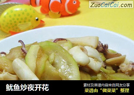 鱿鱼炒夜开花