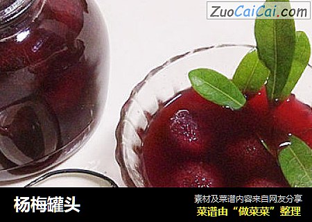 杨梅罐头