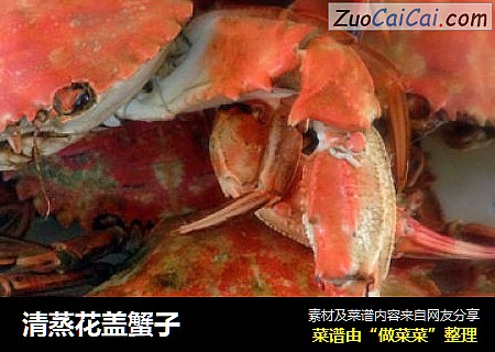 清蒸花盖蟹子