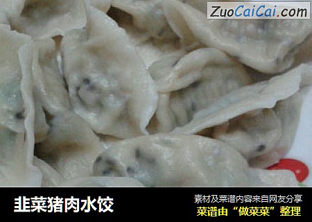 韭菜猪肉水饺