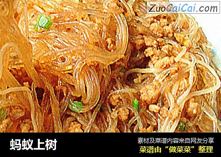 蚂蚁上树