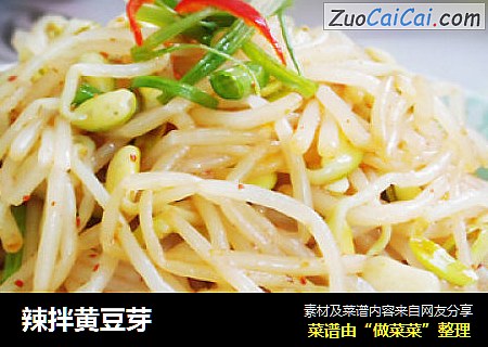 辣拌黄豆芽