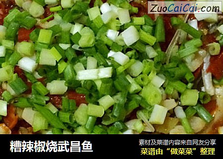 糟辣椒烧武昌鱼