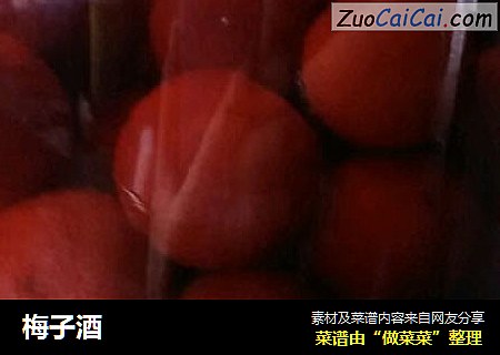 梅子酒