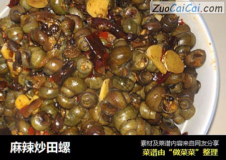 麻辣炒田螺