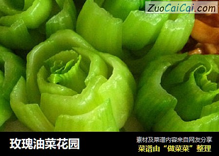 玫瑰油菜花园