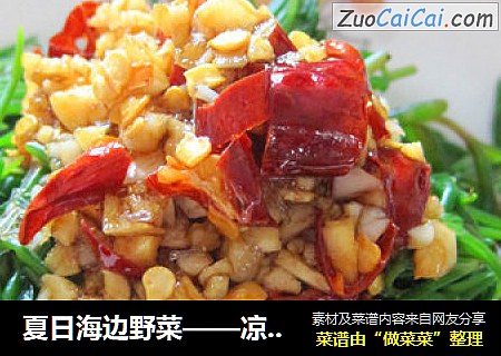 夏日海边野菜——凉拌盐西菜