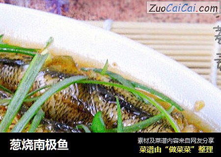 葱烧南极鱼