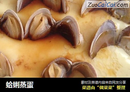 蛤蜊蒸蛋