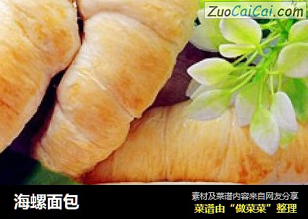 海螺面包