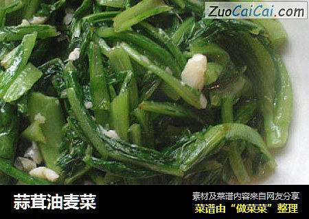 蒜茸油麦菜