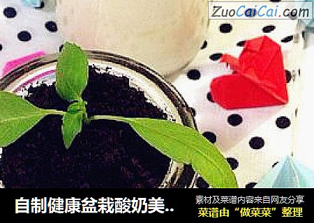 自制健康盆栽酸奶美味一夏