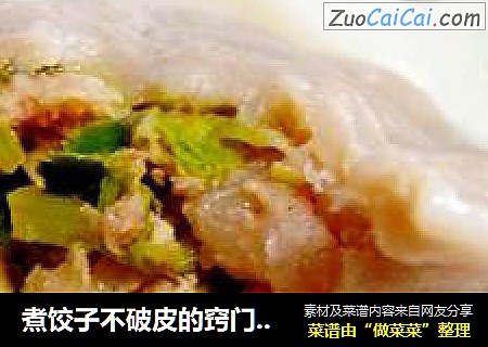 煮饺子不破皮的窍门--芹菜香干猪肉饺