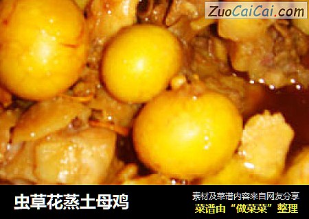 虫草花蒸土母鸡