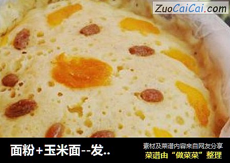面粉+玉米面--发糕的制作方法