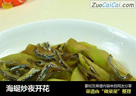 海蜒炒夜开花
