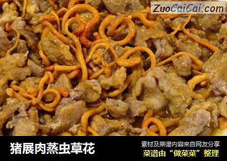 猪展肉蒸虫草花