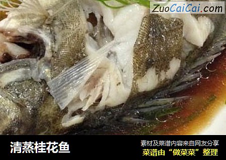 清蒸桂花鱼