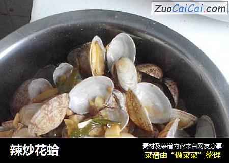 辣炒花蛤
