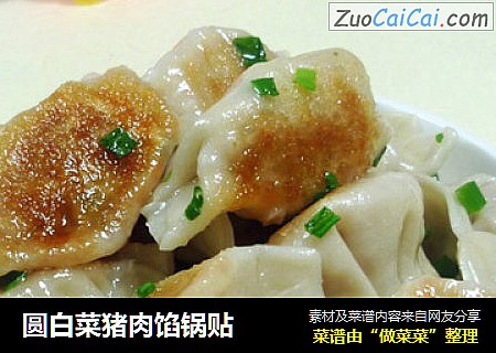 圆白菜猪肉馅锅贴