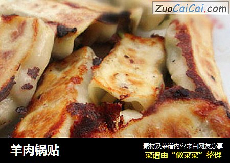 羊肉锅贴