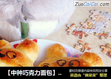 【中种巧克力面包】萌萌龙猫来我家