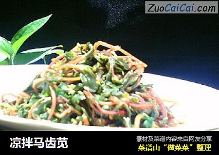 凉拌马齿苋