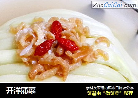 开洋蒲菜