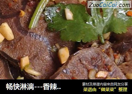畅快淋漓---香辣卤牛肉