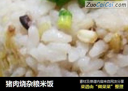 猪肉烧杂粮米饭
